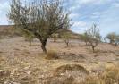 Resale - Baugrundstück  - Arboleas - La Limaria