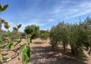 Resale - Country House - Albox