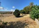 Resale - Country House - Arboleas