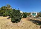 Resale - Country House - Arboleas