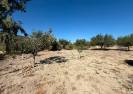 Resale - Country House - Cantoria