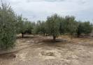 Resale - Country House - Huercal-Overa - Urcal