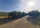 Resale - Country Property - Huercal-Overa - El Saltador