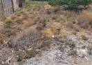 Resale - Town House - Arboleas