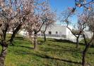 Resale - Villa - Oria