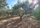 Revente - Country Property - Huercal-Overa - El Saltador