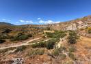 Venta - Casa de campo - Albanchez - Albánchez