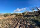 Venta - Casa de campo - Chirivel