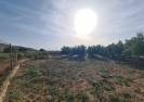 Venta - Country Property - Huercal-Overa - El Saltador